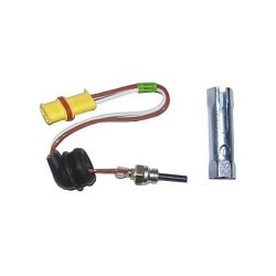 Bujie incandescenta Eberspächer DAF 252070011100
